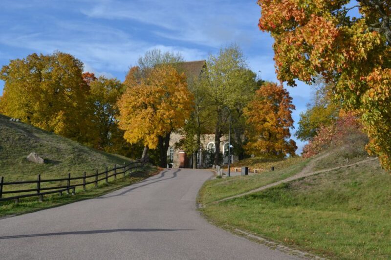 From Stockholm: Uppsala and Sigtuna Viking Sites Tour - Final Thoughts