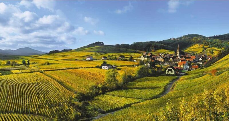 From Strasbourg: a traditional wine tour to Colmar - Key Points