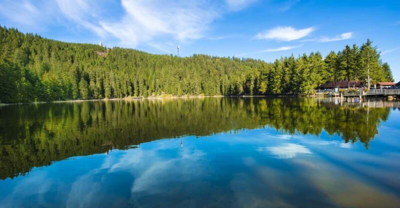 From Strasbourg: Black Forest and Baden Baden Day Trip - Key Points