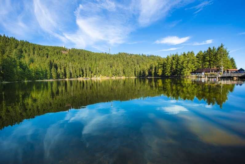 From Strasbourg: Black Forest and Baden Baden Day Trip - A Full Breakdown of the Black Forest and Baden-Baden Day Trip