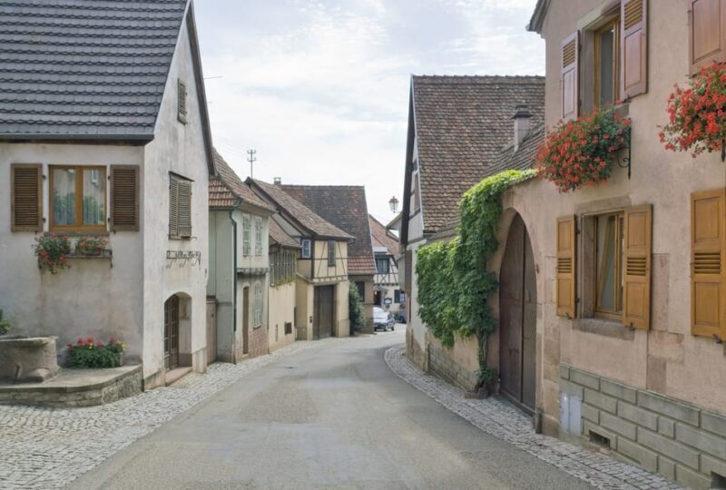 From Strasbourg: Half-Day Tour of Alsace Villages - Final Thoughts