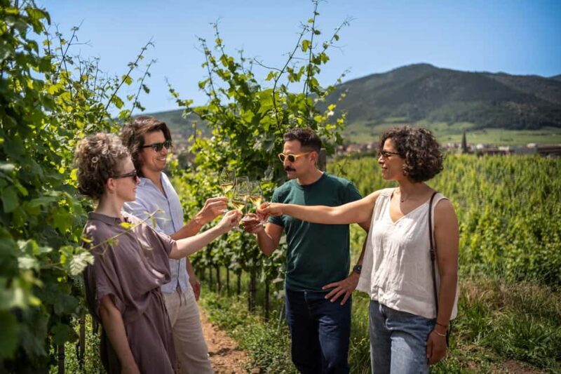 From Strasbourg: Private Alsace Classic Wine Tour - The Practical Side: What to Expect