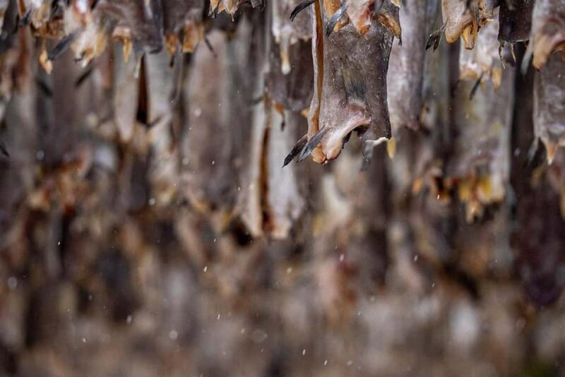 From Svolvær: Half Day Lofoten History and Photo Tour - FAQ: Your Practical Questions Answered