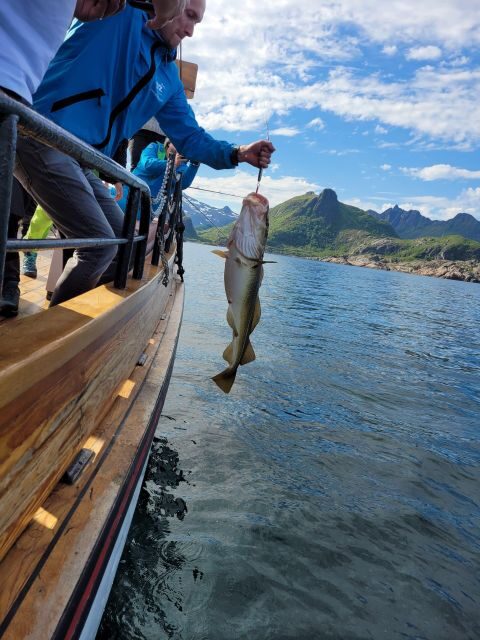 From Svolvaer: Lofoten Fishing Boat Cruise - Who Is This Tour Best For?