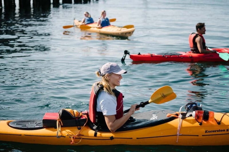 From Svolvær: Lofoten Guided Kayak Experience - Key Points