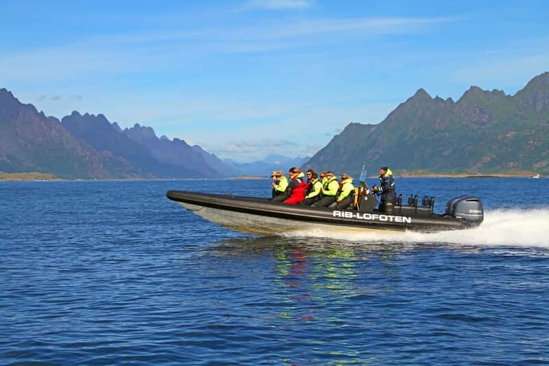 From Svolvær: Lofoten RIB Sea Eagle Safari Trollfjord Cruise - The Verdict: Who Should Consider This Tour?