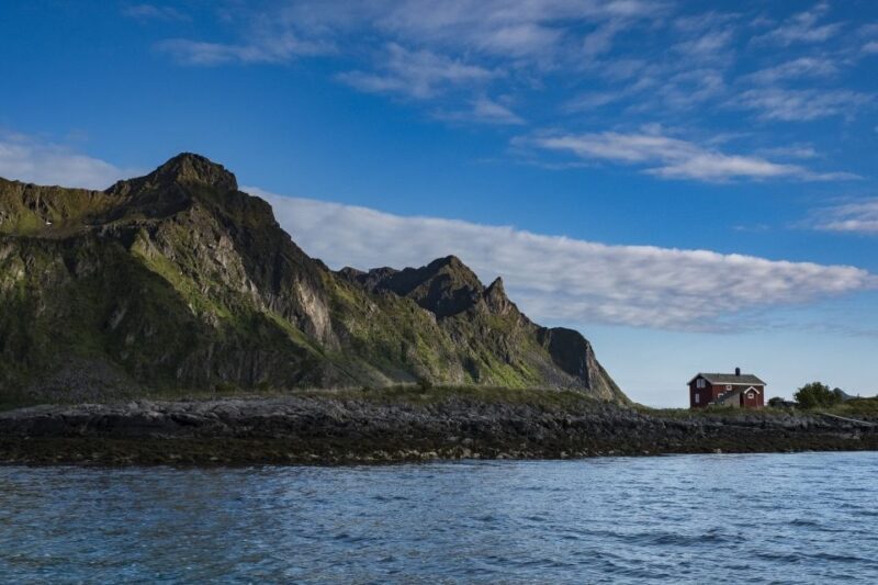 From Svolvaer: Trollfjorden Wildlife RIB Cruise - Key Points