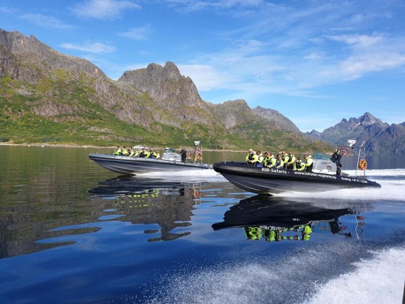 From Svolvaer: Trollfjorden Wildlife RIB Cruise - An Honest Look at the Trollfjorden Wildlife RIB Cruise