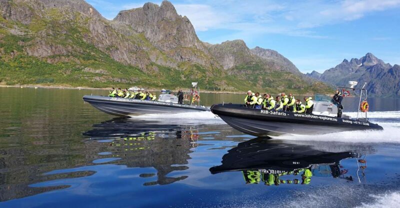 From Svolvaer: Trollfjorden Wildlife RIB Cruise - Practical Details: What You Need to Know