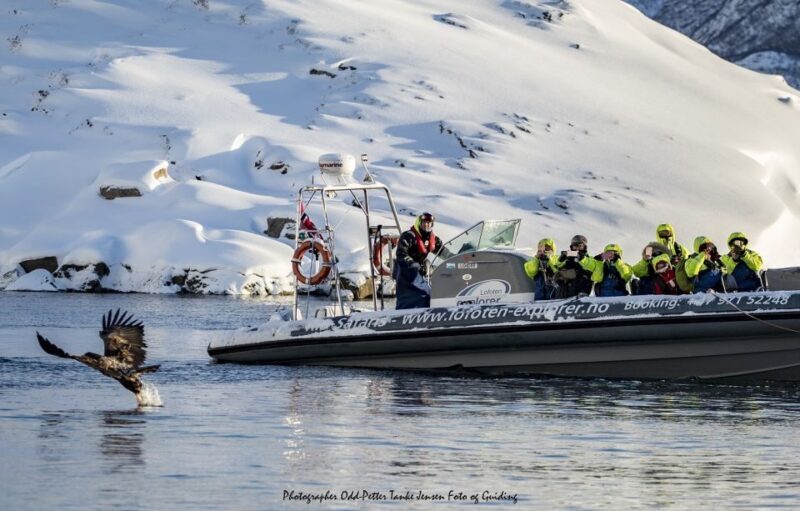 From Svolvaer: Trollfjorden Wildlife RIB Cruise - Final Thoughts