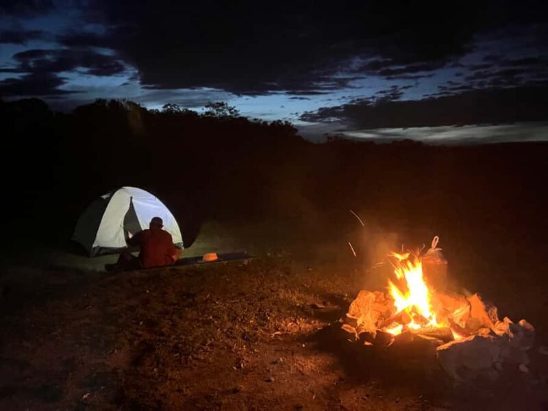 From Sydney: 2-Day Blue Mountains Camping 4WD & River Cruise - What Makes This Tour Stand Out?