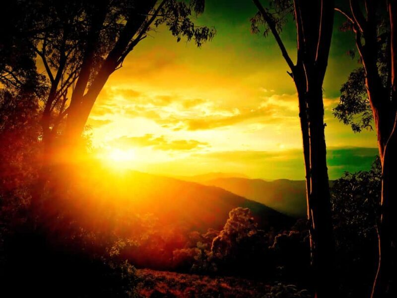 From Sydney: 2-Day Blue Mountains Camping 4WD & River Cruise - The Highlights That Make It Special