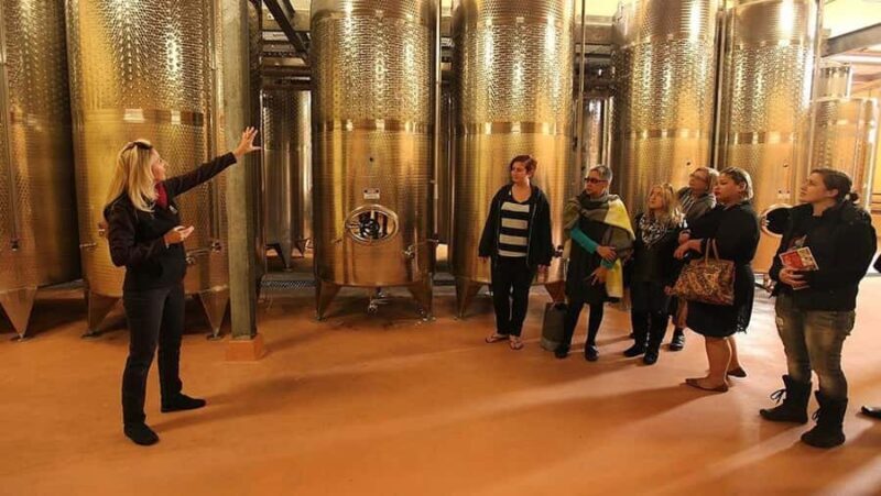 From Sydney: Award-Winning Hunter Valley Wine & Cheese Tour - An Honest Look at the Hunter Valley Wine & Cheese Tour