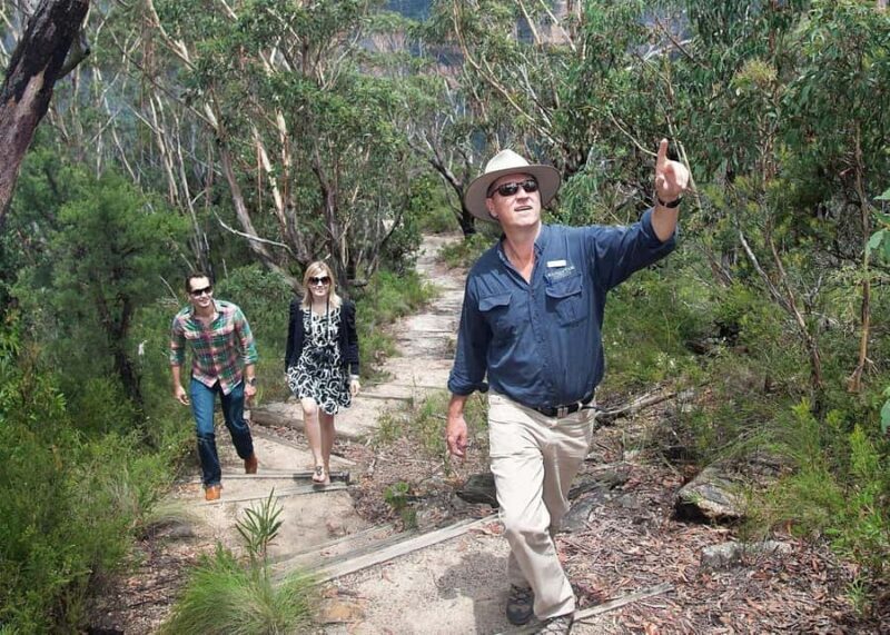 From Sydney: Blue Mountains Bushwalks & Featherdale Tour - The Breakdown of the Tour Experience
