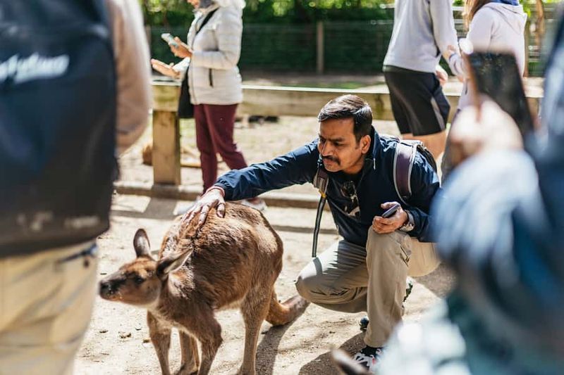 From Sydney: Blue Mountains Full-Day Trip - Your guide and driver: why names keep coming up