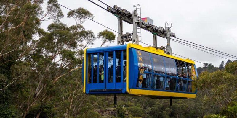 From Sydney: Blue Mountains, Scenic Railway, & Sydney Zoo - Key Points