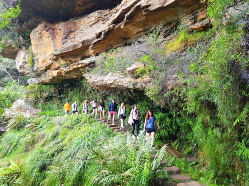 From Sydney: Blue Mountains Tour with Waterfall Walk & Lunch - Key Points