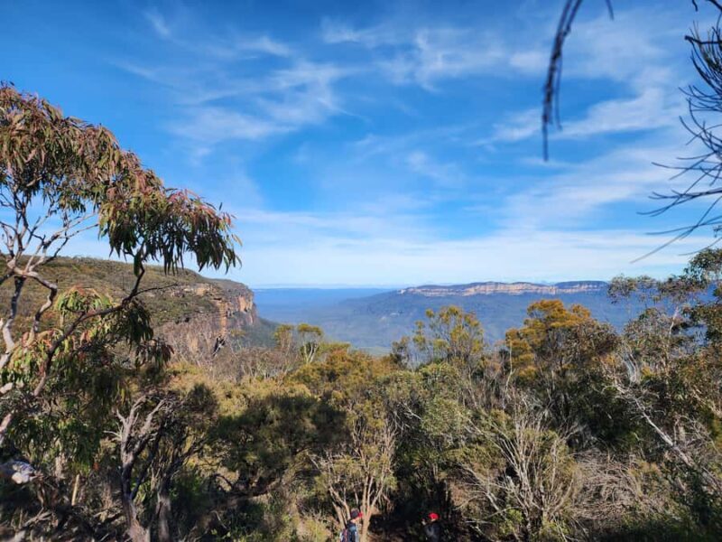 From Sydney: Blue Mountains Tour with Waterfall Walk & Lunch - Final Thoughts