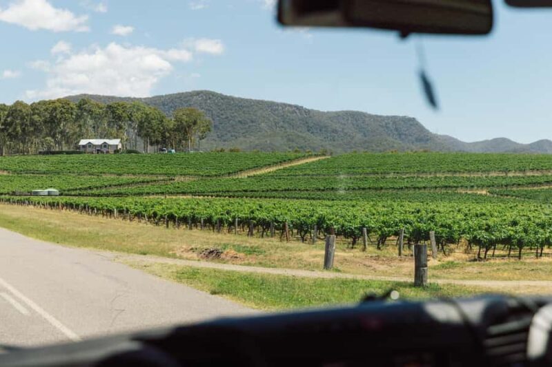 From Sydney: Full-Day Hunter Valley Wine Tour & Lunch - The Value for Money