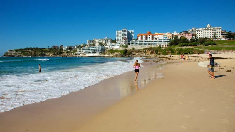 From Sydney: Full Day Tour of Golden Beaches and Ocean Vista - Exploring the Tour: What to Expect