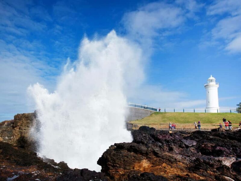 From Sydney: Kiama & South Coast Scenic Private Tour - Key Points