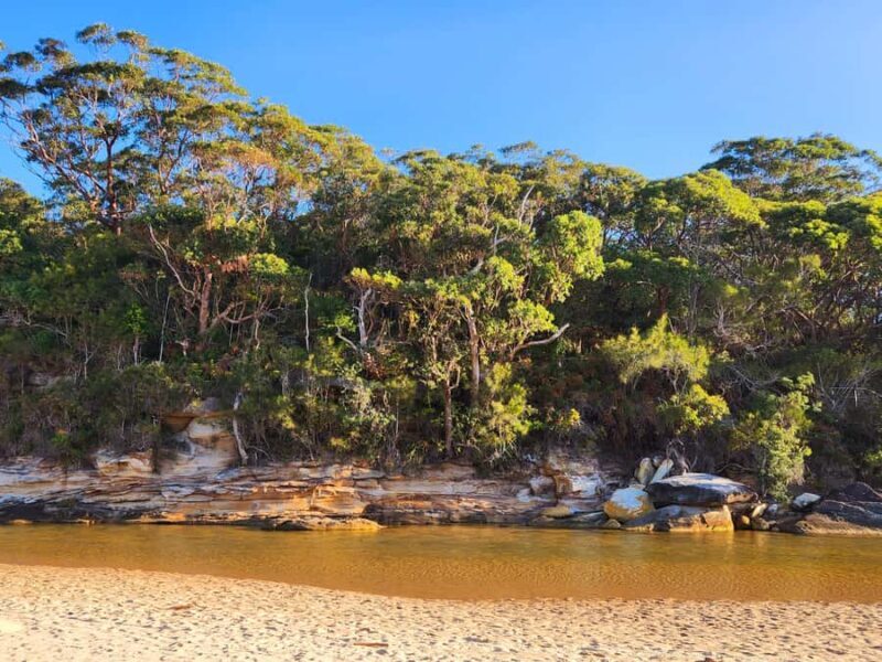 From Sydney: Royal National Park, Wollongong, and Kiama Tour - Final Thoughts