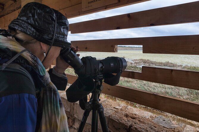 From Syracuse: Vendicari natural reserve - Why This Tour Works Well