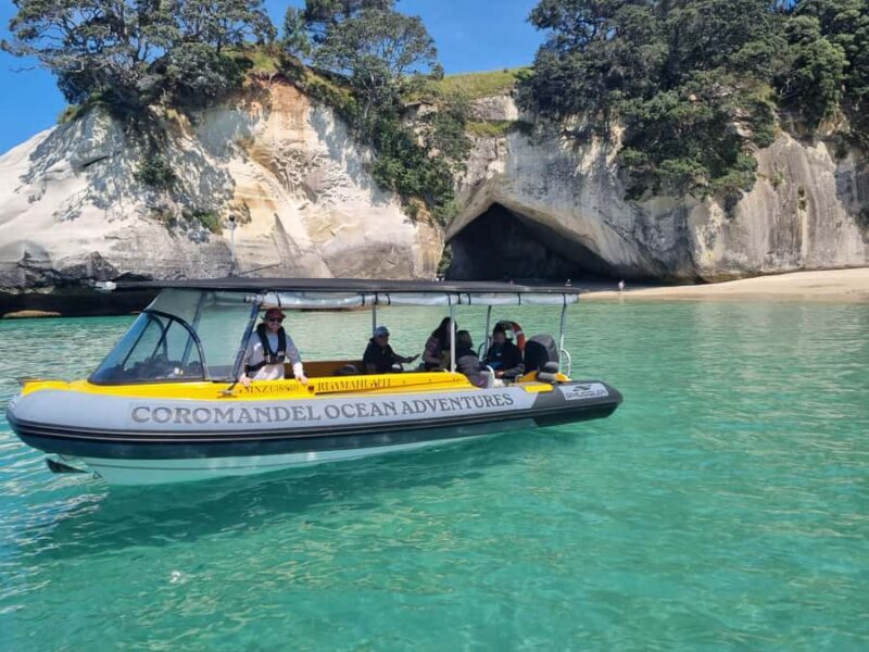 From Tairua: 2 Hour Cathedral Cove Tour with Local Guide - What to Expect from the Tour