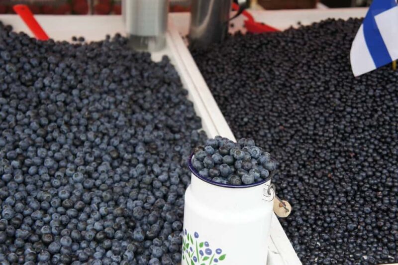 From Tallinn: Day Trip to Helsinki (Ferry, Guide & VIP Car) - Final Thoughts