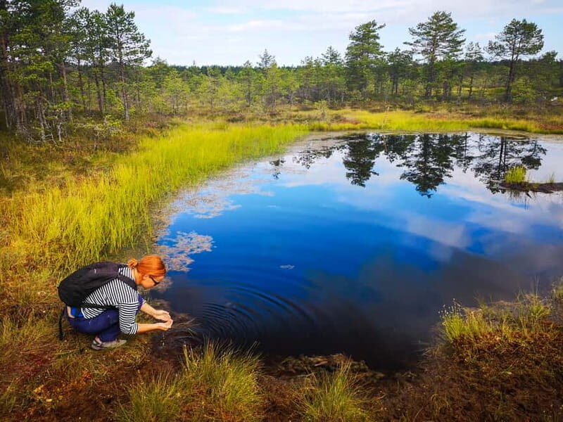 From Tallinn: Day Trip to Lahemaa National Park - What You Can Expect from the Tour