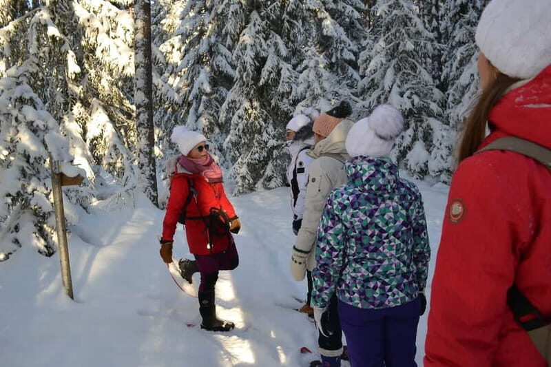 From Tallinn: Guided Bog-Shoe Hiking Tour - Why This Tour Stands Out