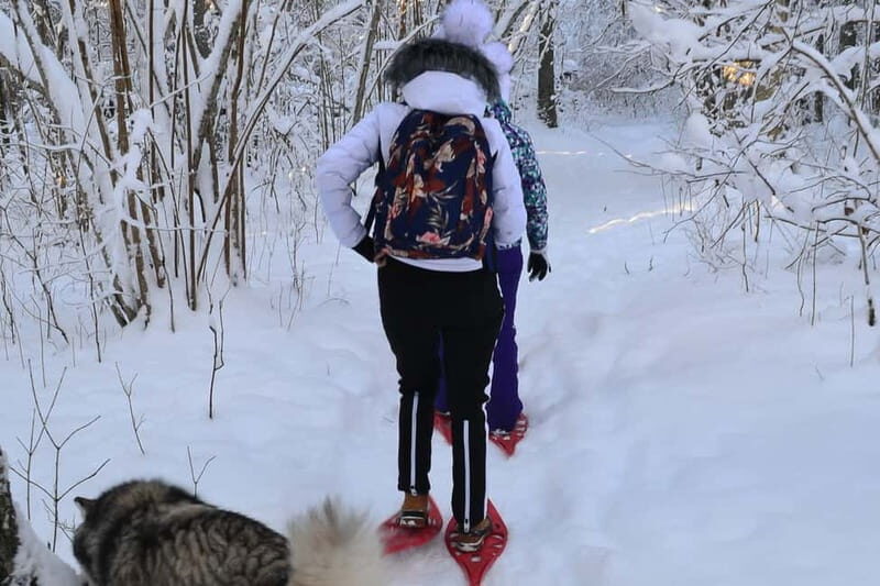 From Tallinn: Guided Bog-Shoe Hiking Tour - Practical Details & What to Bring