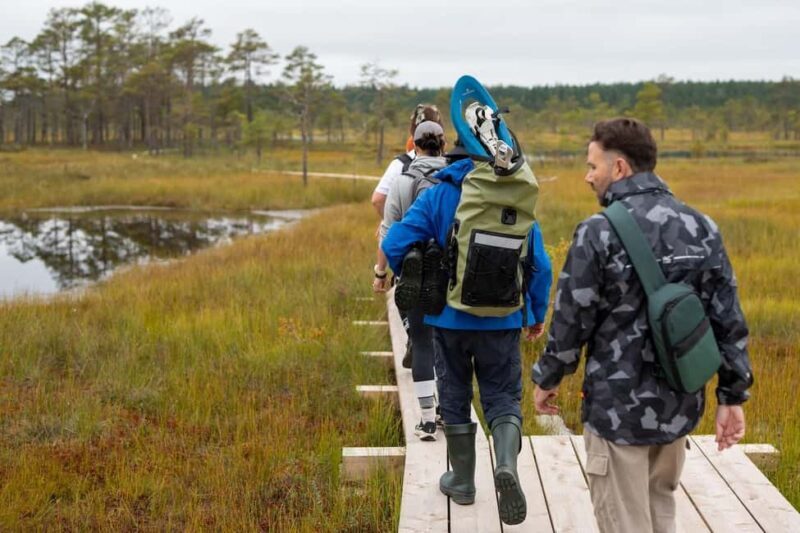 From Tallinn: Jägala Waterfall and Bog Walk Tour - The Itinerary Breakdown