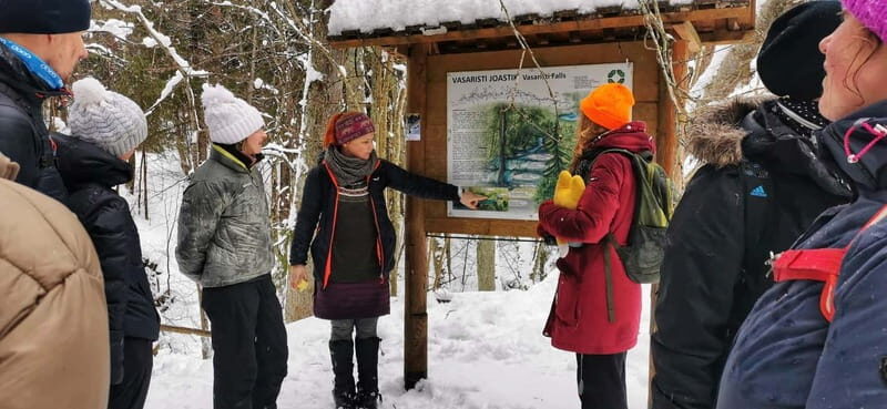 From Tallinn: Lahemaa National Park 3 Waterfall Hike - The Itinerary Breakdown