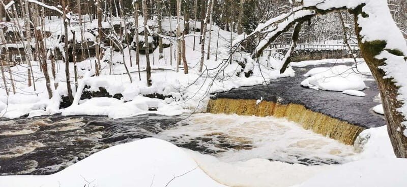 From Tallinn: Lahemaa National Park 3 Waterfall Hike - Practical Tips for Your Hike