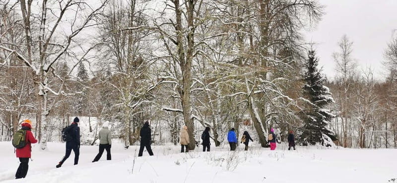 From Tallinn: Lahemaa National Park 3 Waterfall Hike - The Sum Up