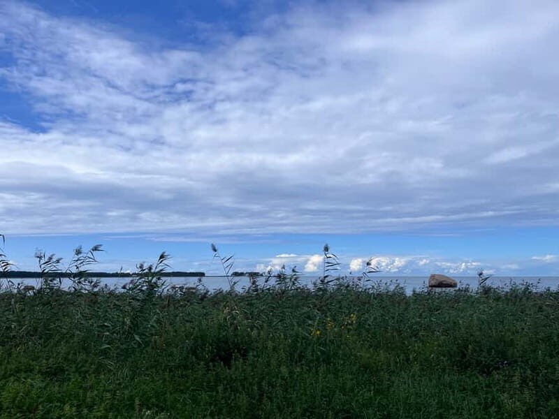 From Tallinn: Lahemaa National Park Day Trip - Experience Overview