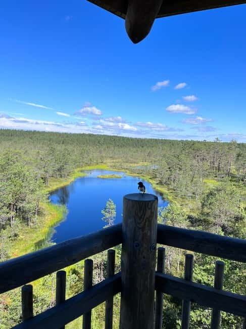 From Tallinn: Lahemaa National Park Day Trip - The Real Traveler Experience