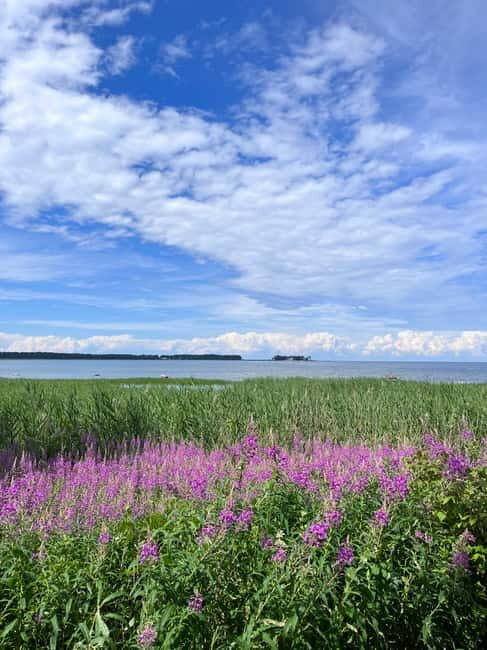 From Tallinn: Lahemaa National Park Day Trip - Who Will Love This Tour?