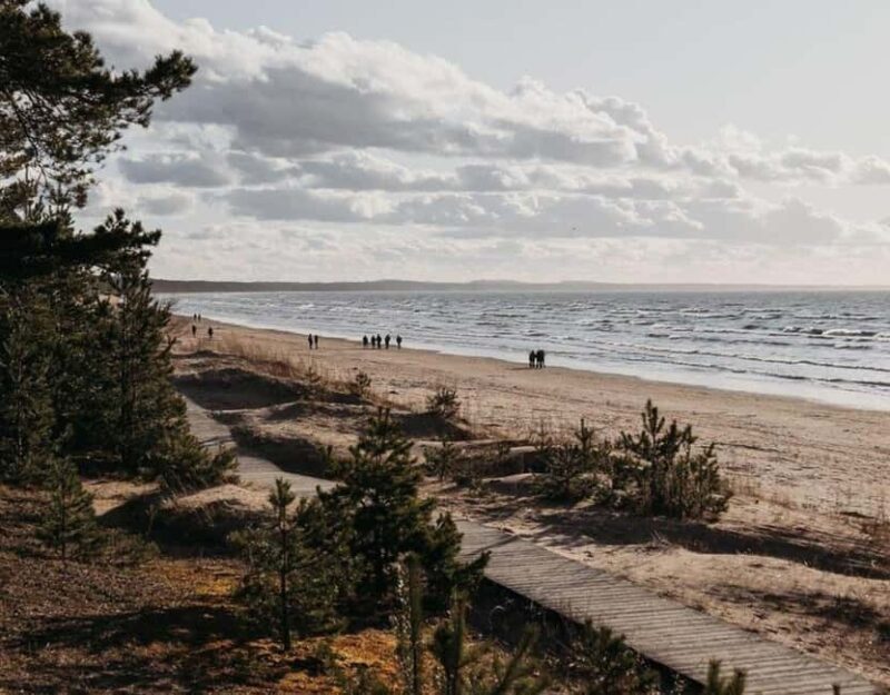 From Tallinn: Narva and Narva-Jõesuu Day Trip with Guide - Key Points