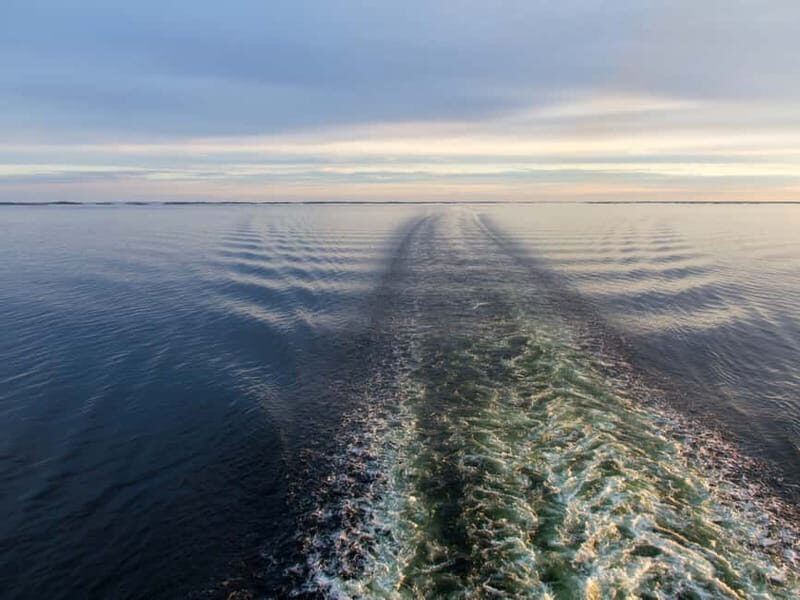 From Tallinn: Overnight Cruise to Stockholm - Who Is This Experience Best For?