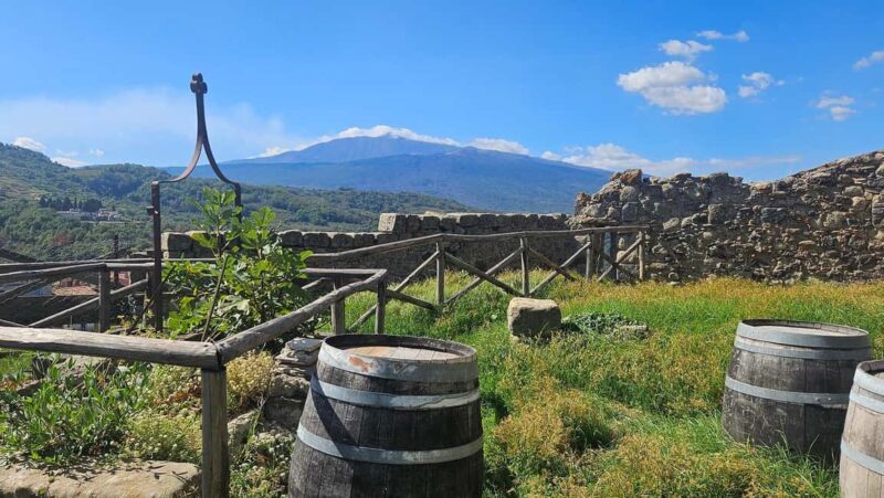 From Taormina: Castiglione di Sicilia & Wine Tasting - Who Would Love This Tour?