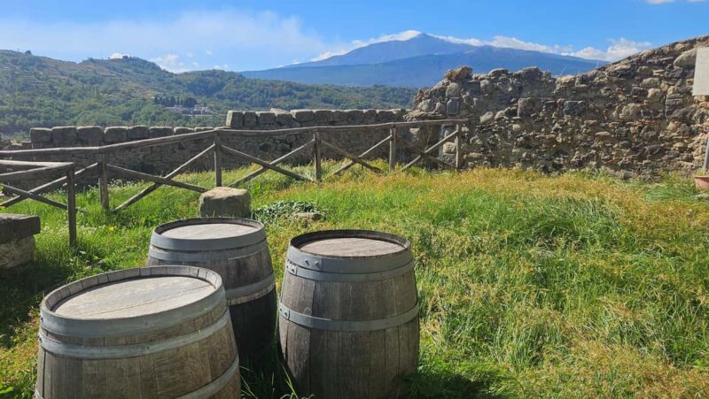 From Taormina: Castiglione di Sicilia & Wine Tasting - Final Thoughts