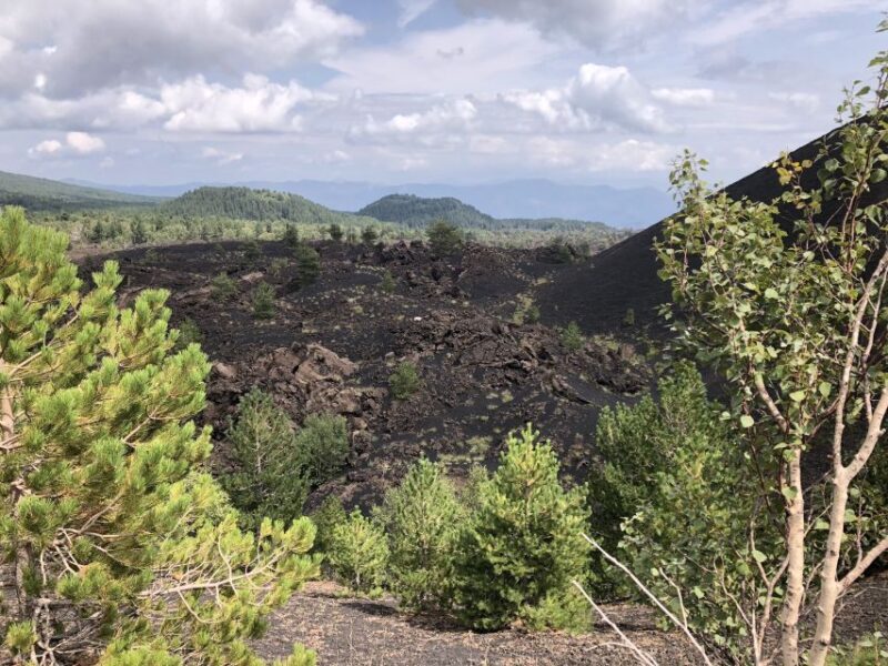 From Taormina: Half-Day Mount Etna Morning Trek - A Closer Look at the Tour Experience