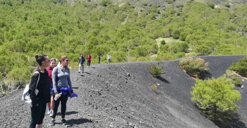 From Taormina: Half-Day Mount Etna Morning Trek - What to Expect at the Craters and Lava Paths