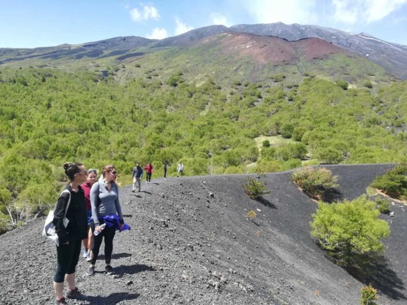 From Taormina: Half-Day Mount Etna Morning Trek - Lava Cave Exploration
