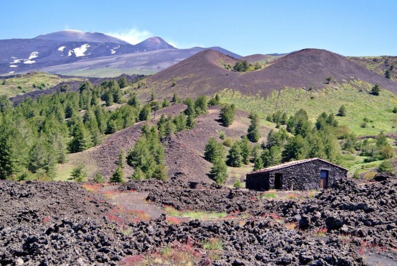 From Taormina: Mount Etna Guided Bus Tour - The Experience in Detail