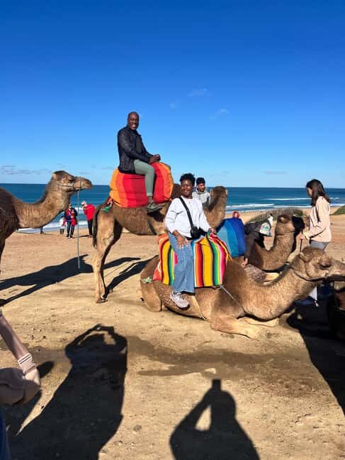 From Tarifa: Tangier Day Trip with Lunch and Ferry - What to Expect from the Tour