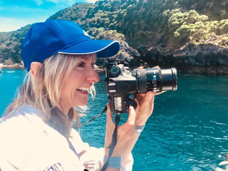 From Tauranga: Dolphin and Wildlife Cruise - Key Points