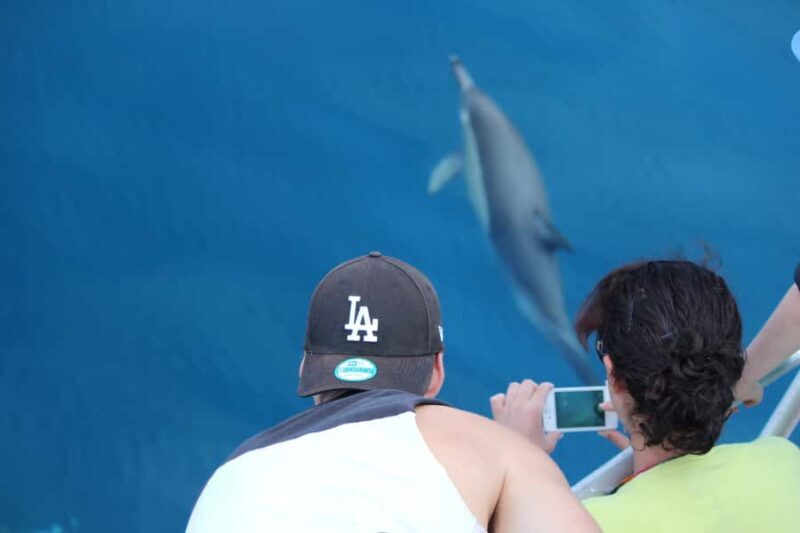 From Tauranga: Dolphin and Wildlife Cruise - Final Thoughts